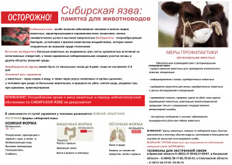 сибирская язва: памятка для животноводов - фото - 1